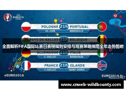 全面解析FIFA国际比赛日赛程规则安排与观赛策略指南全年走势前瞻